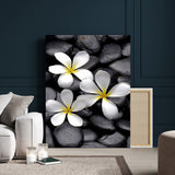 45657-MGV-CV-24X36-Large Wall Art White Flowers on Black Zen Meditation Stones Vertical Canvas Print