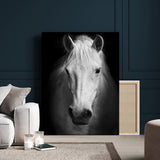 36639-MGV-CV-24X36-Large Wall Art White Horse on Black Background Canvas Print