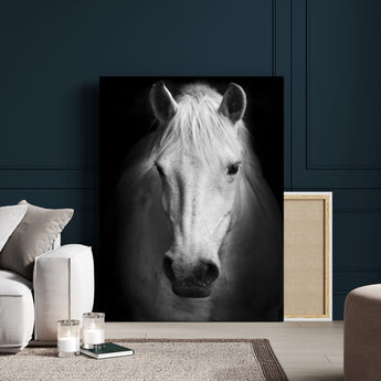 36639-MGV-CV-24X36-Large Wall Art White Horse on Black Background Canvas Print