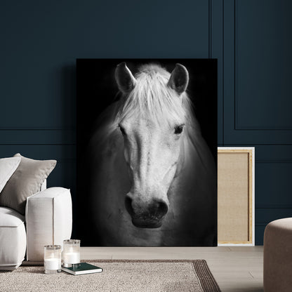 36639-MGV-CV-24X36-Large Wall Art White Horse on Black Background Canvas Print