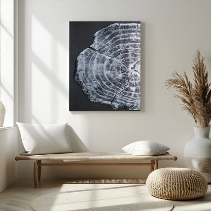 10432121-MGV-CV-24X36-Tree Ring Canvas Wall Art Canvas Print, Framed Rustic Wood Wall Art Picture Print, Botanical Tree Slice Perfect Modern Lodge Decor