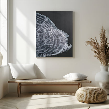 34094020-MGV-CV-24X36-Tree Ring Canvas Wall Art Canvas Print, Framed Modern Rustic Decor Art Picture Print, Botanical Tree Ring Perfect Modern Rustic