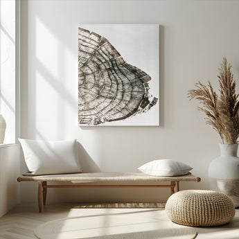 57798204-MGV-CV-24X36-Botanical Tree Ring Wall Art Canvas Print, Framed Earth Tones Art Picture Print, Tree Ring Canvas Perfect Scandinavian Minimalist