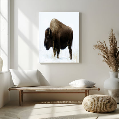 76778120-MGV-CV-24X36-Bison Photography Wall Art Canvas Print, Framed Western Wildlife Art Picture Print, Buffalo On Snow Perfect Western Rustic Decor
