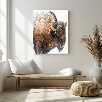 27690436-MGV-CV-24X36-Snowy Buffalo Wall Art Canvas Print, Framed Wildlife Photography Art Picture Print, Rustic Lodge Perfect Rustic Lodge Decor Decor