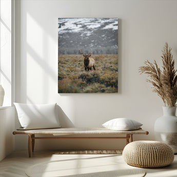 80105083-MGV-CV-24X36-Wild Elk Wall Art Canvas Print, Framed Mountain Wilderness Art Picture Print, Majestic Animal Perfect Rustic Lodge Decor Artwork
