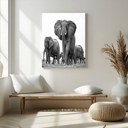 79634-MGV-CV-24X36-Elephant Herd Wall Art Canvas Print, Framed African Elephant Art Picture Print, Monochrome Wildlife Perfect Monochrome Safari