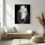 36639-MGV-CV-24X36-Large Wall Art White Horse on Black Background Canvas Print