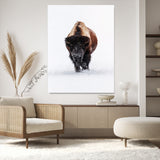 11394883-MGV-CV-24X36-Winter Bison Wall Art Canvas Print, Framed Rustic Wildlife Art Picture Print, Bold Animal Art Perfect Rustic Lodge Decor Artwork