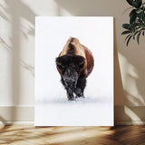 11394883-MGV-CV-24X36-Winter Bison Wall Art Canvas Print, Framed Rustic Wildlife Art Picture Print, Bold Animal Art Perfect Rustic Lodge Decor Artwork