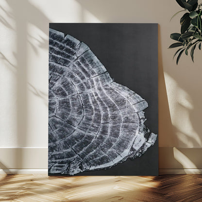 34094020-MGV-CV-24X36-Tree Ring Canvas Wall Art Canvas Print, Framed Modern Rustic Decor Art Picture Print, Botanical Tree Ring Perfect Modern Rustic