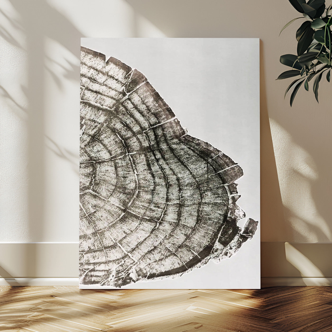 57798204-MGV-CV-24X36-Botanical Tree Ring Wall Art Canvas Print, Framed Earth Tones Art Picture Print, Tree Ring Canvas Perfect Scandinavian Minimalist