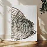 57798204-MGV-CV-24X36-Botanical Tree Ring Wall Art Canvas Print, Framed Earth Tones Art Picture Print, Tree Ring Canvas Perfect Scandinavian Minimalist