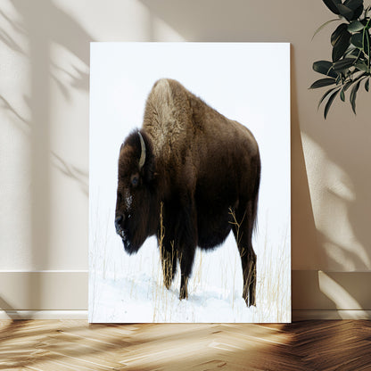 76778120-MGV-CV-24X36-Bison Photography Wall Art Canvas Print, Framed Western Wildlife Art Picture Print, Buffalo On Snow Perfect Western Rustic Decor