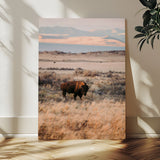 75146693-MGV-CV-24X36-Solitary Buffalo Wall Art Canvas Print, Framed Golden Prairie Art Picture Print, Earthy Tones Perfect Rustic Western Decor Artwork