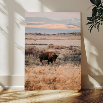 75146693-MGV-CV-24X36-Solitary Buffalo Wall Art Canvas Print, Framed Golden Prairie Art Picture Print, Earthy Tones Perfect Rustic Western Decor Artwork
