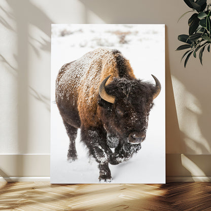 19448944-MGV-CV-24X36-Winter Wilderness Wall Art Canvas Print, Framed Brown Tones Art Picture Print, Nature Close-Up Perfect Rustic Lodge Decor Decor