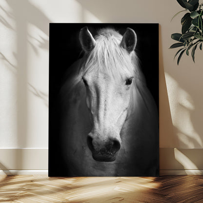 36639-MGV-CV-24X36-Large Wall Art White Horse on Black Background Canvas Print