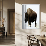 76778120-MGV-FP-48X32-3P_White-Bison Photography Wall Art Canvas Print, Framed Western Wildlife Art Picture Print, Buffalo On Snow Perfect Western Rustic Decor