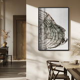 57798204-MGV-FP-48X32-3P_Black-Botanical Tree Ring Wall Art Canvas Print, Framed Earth Tones Art Picture Print, Tree Ring Canvas Perfect Scandinavian Minimalist