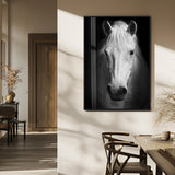 36639-MGV-FP-48X32-3P_Black-Large Wall Art White Horse on Black Background Canvas Print