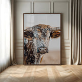 50803532-MGV-CV-24X36-Texas Longhorn Wall Art Canvas Print, Framed Speckled Cow Art Picture Print, Horned Bull Perfect Rustic Western Decor Artwork