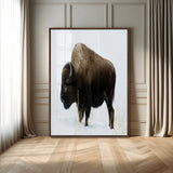 76778120-MGV-CV-24X36-Bison Photography Wall Art Canvas Print, Framed Western Wildlife Art Picture Print, Buffalo On Snow Perfect Western Rustic Decor