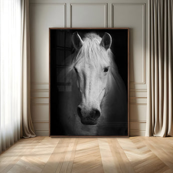 36639-MGV-CV-24X36-Large Wall Art White Horse on Black Background Canvas Print