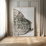 57798204-MGV-CV-24X36-Botanical Tree Ring Wall Art Canvas Print, Framed Earth Tones Art Picture Print, Tree Ring Canvas Perfect Scandinavian Minimalist