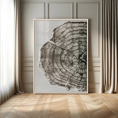 11167473-MGV-CV-24X36-Rustic Wall Decor Wall Art Canvas Print, Framed Modern Lodge Style Art Picture Print, Neutral Wood Slice Perfect Scandinavian