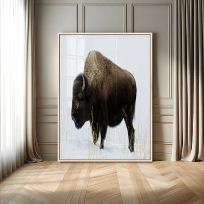 76778120-MGV-CV-24X36-Bison Photography Wall Art Canvas Print, Framed Western Wildlife Art Picture Print, Buffalo On Snow Perfect Western Rustic Decor