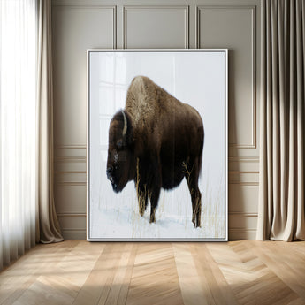 76778120-MGV-CV-24X36-Bison Photography Wall Art Canvas Print, Framed Western Wildlife Art Picture Print, Buffalo On Snow Perfect Western Rustic Decor