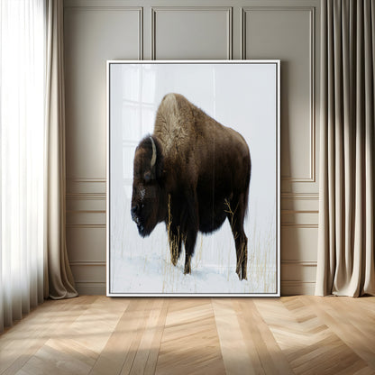 76778120-MGV-CV-24X36-Bison Photography Wall Art Canvas Print, Framed Western Wildlife Art Picture Print, Buffalo On Snow Perfect Western Rustic Decor