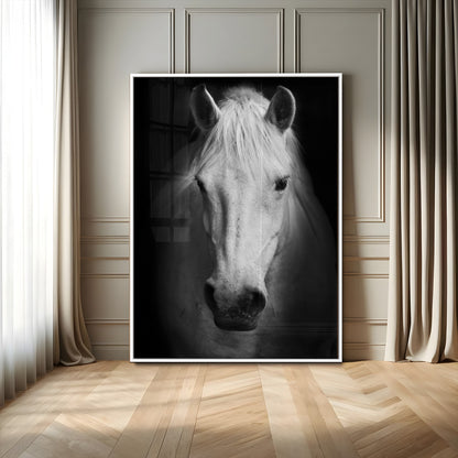 36639-MGV-CV-24X36-Large Wall Art White Horse on Black Background Canvas Print