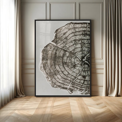 11167473-MGV-FP-48X32-3P-Rustic Wall Decor Wall Art Canvas Print, Framed Modern Lodge Style Art Picture Print, Neutral Wood Slice Perfect Scandinavian