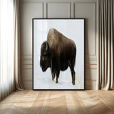 76778120-MGV-CV-24X36-Bison Photography Wall Art Canvas Print, Framed Western Wildlife Art Picture Print, Buffalo On Snow Perfect Western Rustic Decor