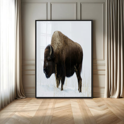 76778120-MGV-CV-24X36-Bison Photography Wall Art Canvas Print, Framed Western Wildlife Art Picture Print, Buffalo On Snow Perfect Western Rustic Decor