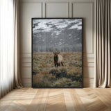 80105083-MGV-CV-24X36-Wild Elk Wall Art Canvas Print, Framed Mountain Wilderness Art Picture Print, Majestic Animal Perfect Rustic Lodge Decor Artwork