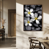 45657-MGV-FP-48X32-3P_Walnut-Large Wall Art White Flowers on Black Zen Meditation Stones Vertical Canvas Print