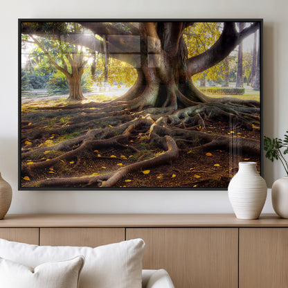 53335-MGV-FP-36X24-3P_Black-Majestic Tree with Sprawling Roots Wall Art – Serene Sunlit Park Scene, Nature Canvas Print, Perfect for Living Room, Office or