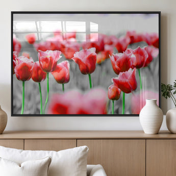 44554-MGV-FP-36X24-3P_Black-Vibrant red tulips stand out beautifully against a black-and-white background, making a striking decor piece perfect for any home