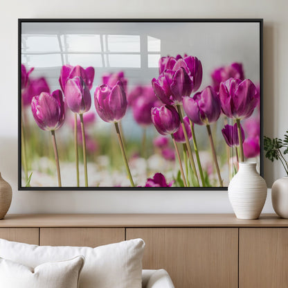 30632-MGV-FP-36X24-3P_Black-Purple Tulip Field Wall Art – Beautiful Spring Flowers Canvas Print with Soft Focus and Bright Sky, Ideal Floral Decor for Home or