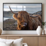 71222-MGV-FP-36X24-3P_Black-A playful Highland cow with shaggy fur sticks out its tongue, set against a rugged landscape — perfect for quirky home or office