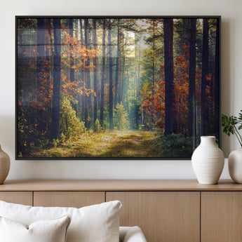 86249-MGV-FP-36X24-3P_Black-Sunlit Autumn Forest Path Wall Art – Peaceful Nature Scene with Fall Foliage, Calming Woods Decor for Home or Office
