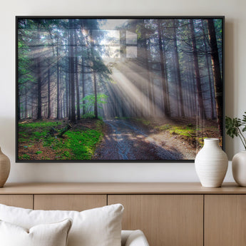 42047-MGV-FP-36X24-3P_Black-Sunlit Forest Path Wall Art – Nature Canvas Print, Serene Woodland Landscape, Perfect Home & Office Decor for Calm and Tranquil
