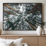 18790-MGV-FP-36X24-3P_Black-Pine Canopy Wall Art – Panoramic View of Towering Pines Canvas Print, Nature-Inspired Decor for Office, Cabin or Living Room