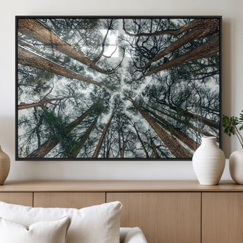 18790-MGV-FP-36X24-3P_Black-Pine Canopy Wall Art – Panoramic View of Towering Pines Canvas Print, Nature-Inspired Decor for Office, Cabin or Living Room