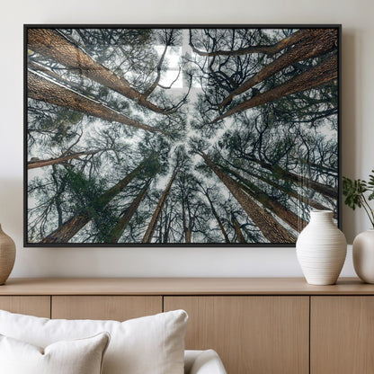18790-MGV-FP-36X24-3P_Black-Pine Canopy Wall Art – Panoramic View of Towering Pines Canvas Print, Nature-Inspired Decor for Office, Cabin or Living Room