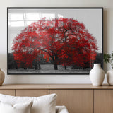 80021-MGV-FP-36X24-3P_Black-Red Tree Wall Art – Striking Black and White Landscape Canvas Print with Vibrant Red Leaves, Modern Nature Decor for Living Room