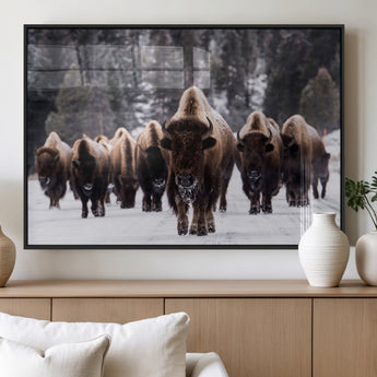 66871-MGV-FP-36X24-3P_Black-Bison Herd Wall Art – Wildlife Buffalo Canvas Print, Rustic Western Nature Photography Decor for Living Room, Office, Cabin, or